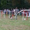 foire-haricots 2011-09-17et18